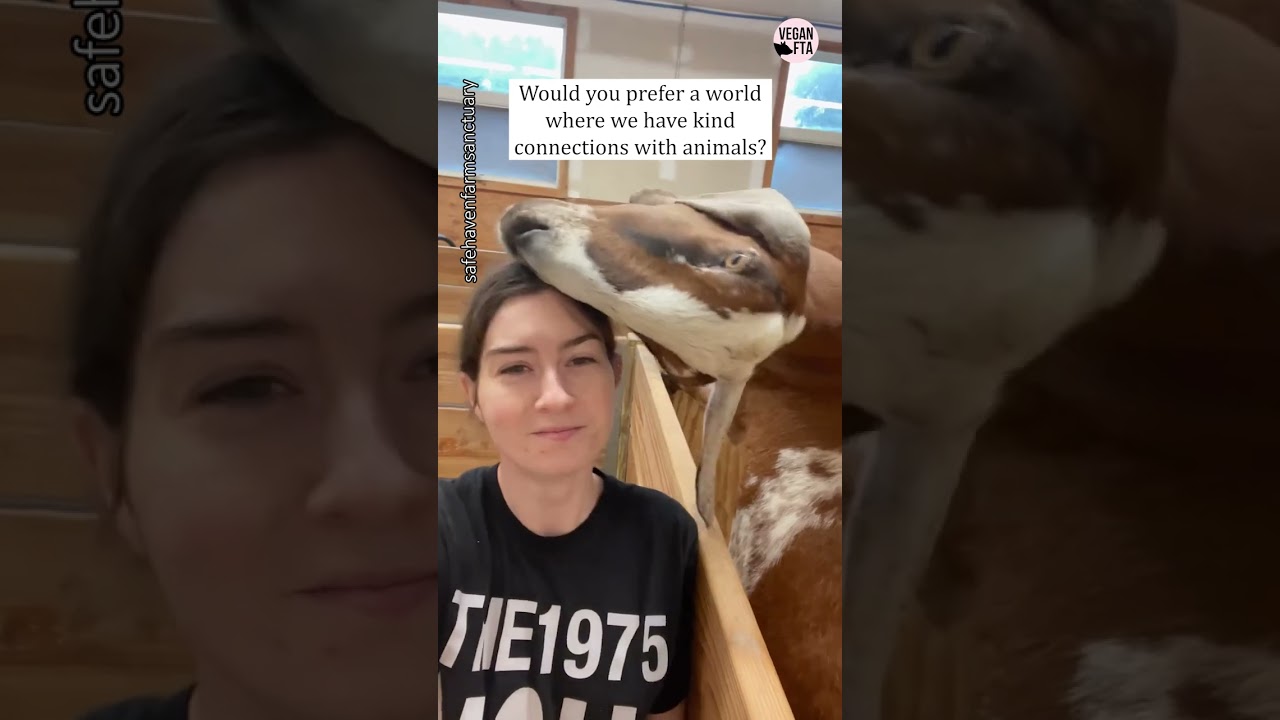 The Snuggle Is Real! 🥰