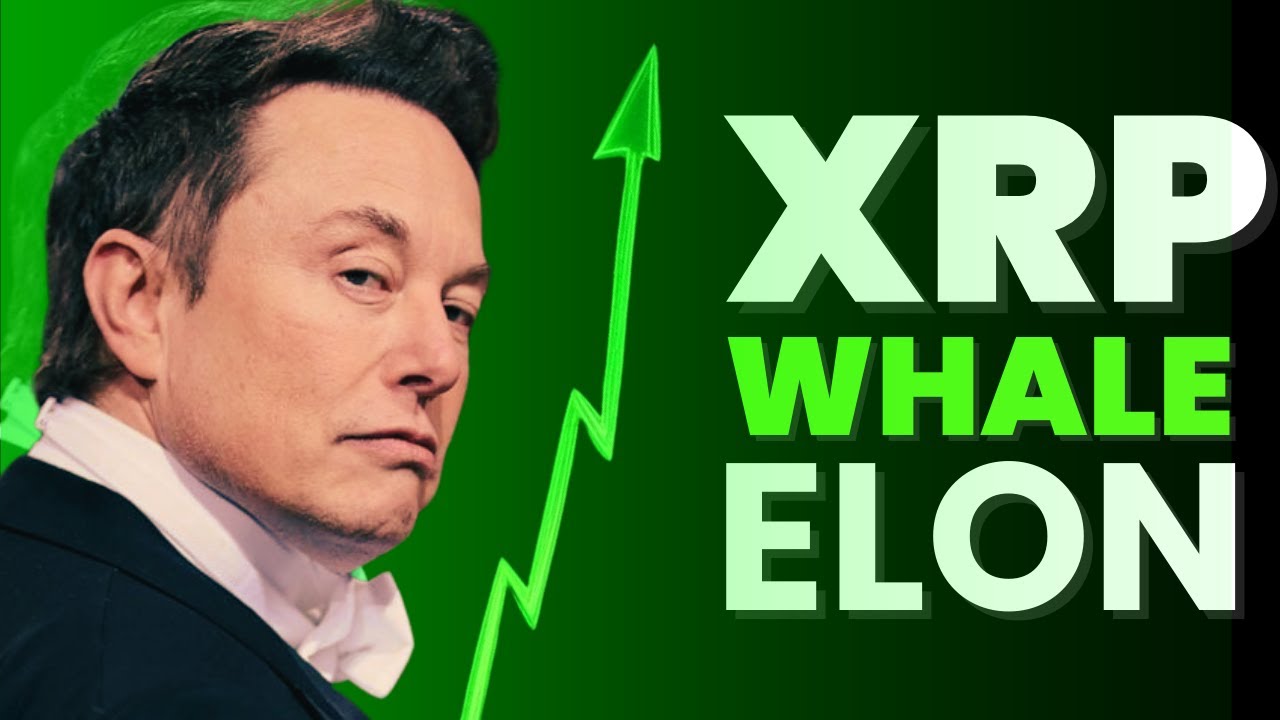 ELON MUSK HIDING HIS XRP *WOW* 👀
