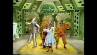 The Brady Bunch - Carwash