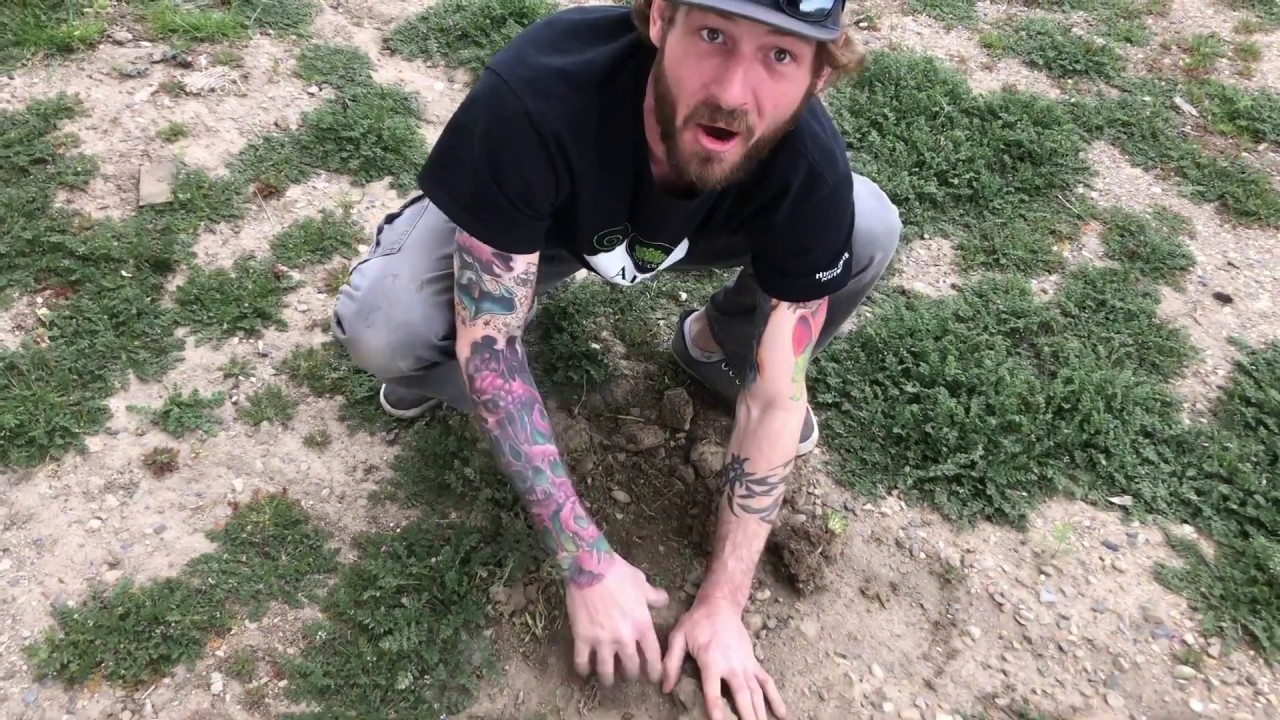 Gardening Coach Presents - Episode 3 - Media and Amendments