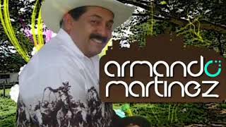 Armando Martinez No Lloro Porque Te Fuiste El Pimpollito 480P