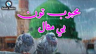Sindhi Naat | Mehboob Tu Bemisal | Suhail Seelro - New Naat Sharif screenshot 5