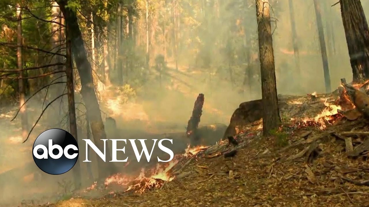 Wildfire threatens Yosemite sequoias as sprinkler system sets up for protection