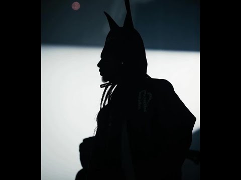 FREE Playboi Carti Type Beat Hol Up 