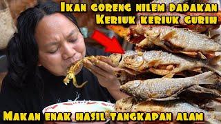 CRACKING TEST OF NATURALLY CATCHED NILEM FISH