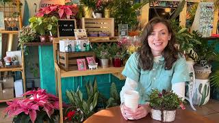 The Willow Witch Pops Up at Castaways