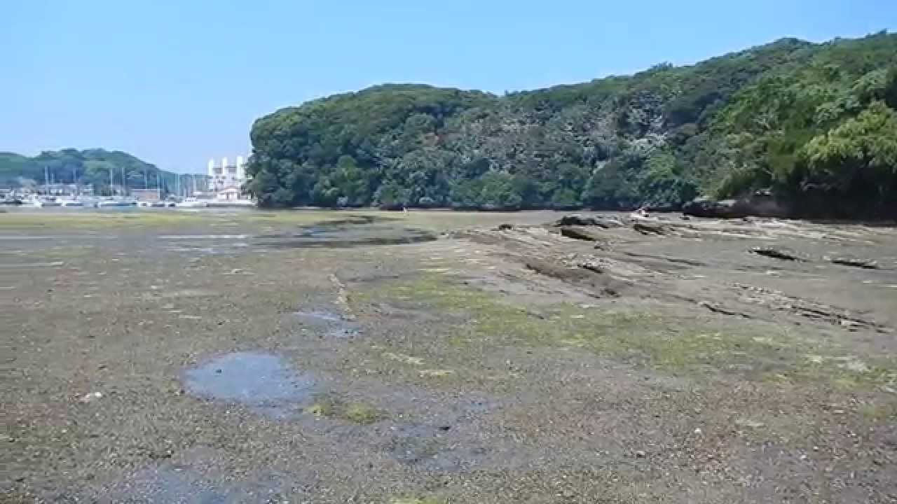 干潮時の小網代湾 Youtube