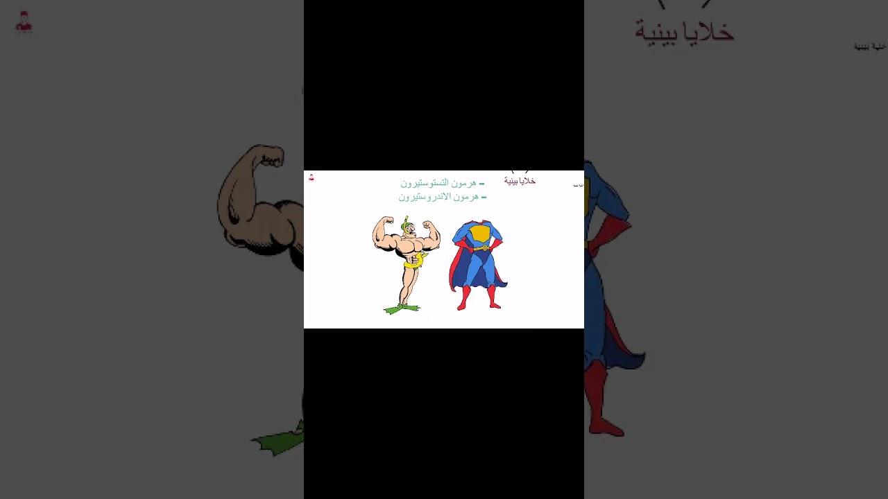 التركيب المجهري للخصية #ثانوية_عامة_2026 #بيولوجي #مذاكرة_أونلاين #مذاكرة_أونلاين #طلاب_مصر #الخلاصة