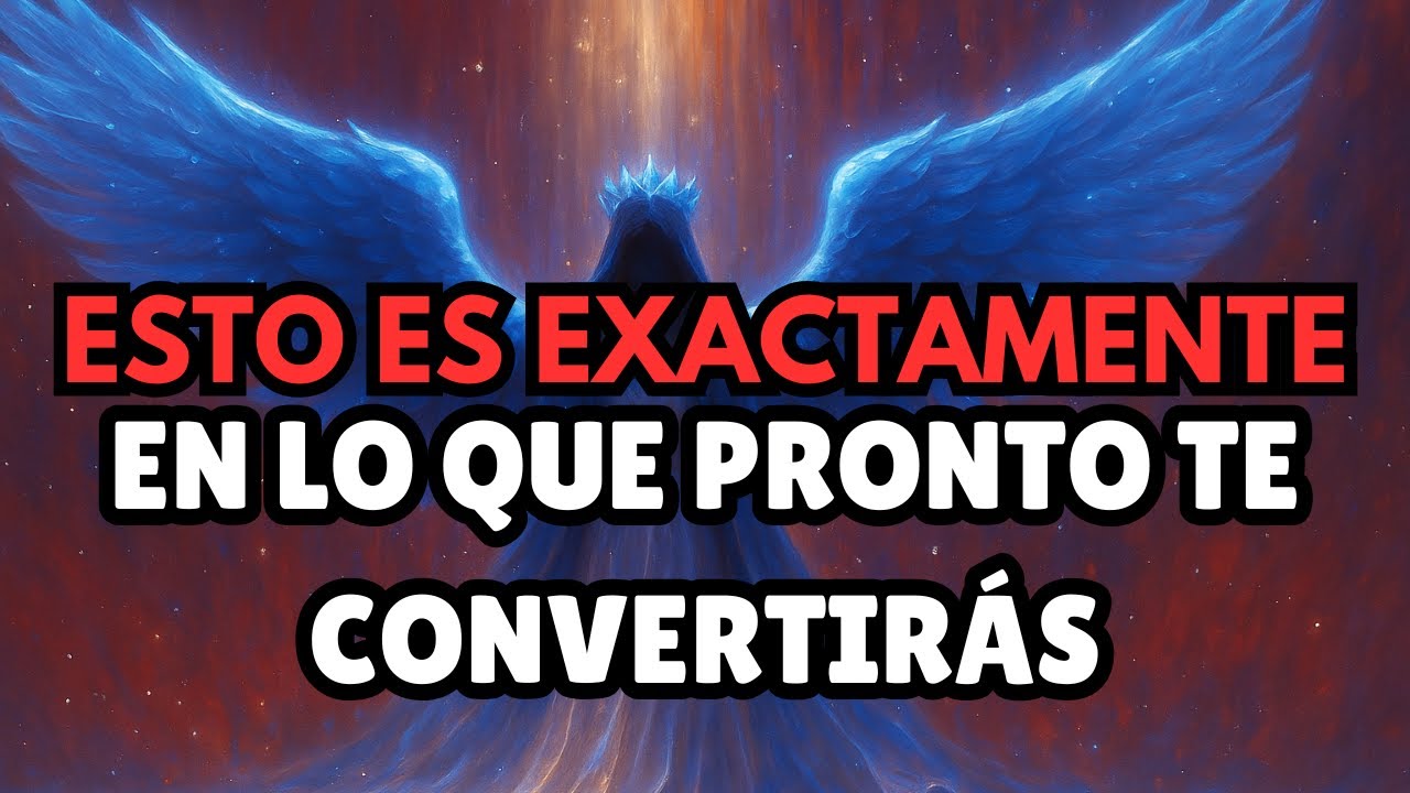 Elegidos: Dios está financiando su vida ahora. ¡Dejen de preocuparse! 🙌