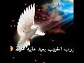درب الحبيب بعيد مابية حيلة مهدي العبودي