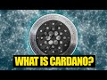 Cardano ADA 101: Why Is It So Popular? | The Beginner&#39;s Guide