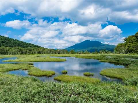 夏の思い出・混声四部テナー（MIDI）　Recollection  Of A Summer