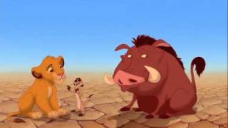 On Ne Revient Jamais En Avant.