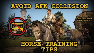 How To Setup AFK Horse Training Autopath - Black Desert Online 2021