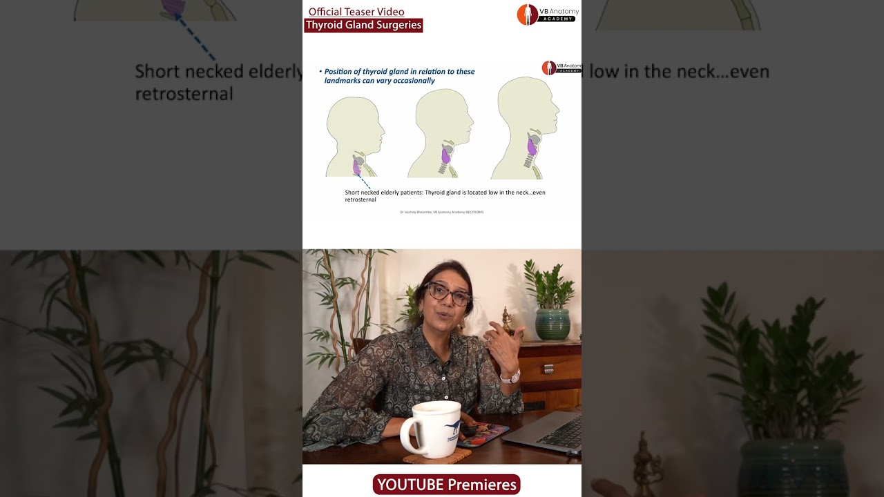 Surgical Anatomy of the Thyroid Gland: A Comprehensive Review