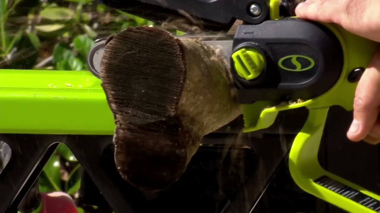 Sun Joe 24Volt Cordless Handheld Long Reach Chainsaw - YouTube