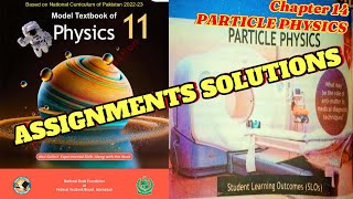 chapter 14 assignment solution physics class 11 NBF FEDERAL board 2024 25 Profile