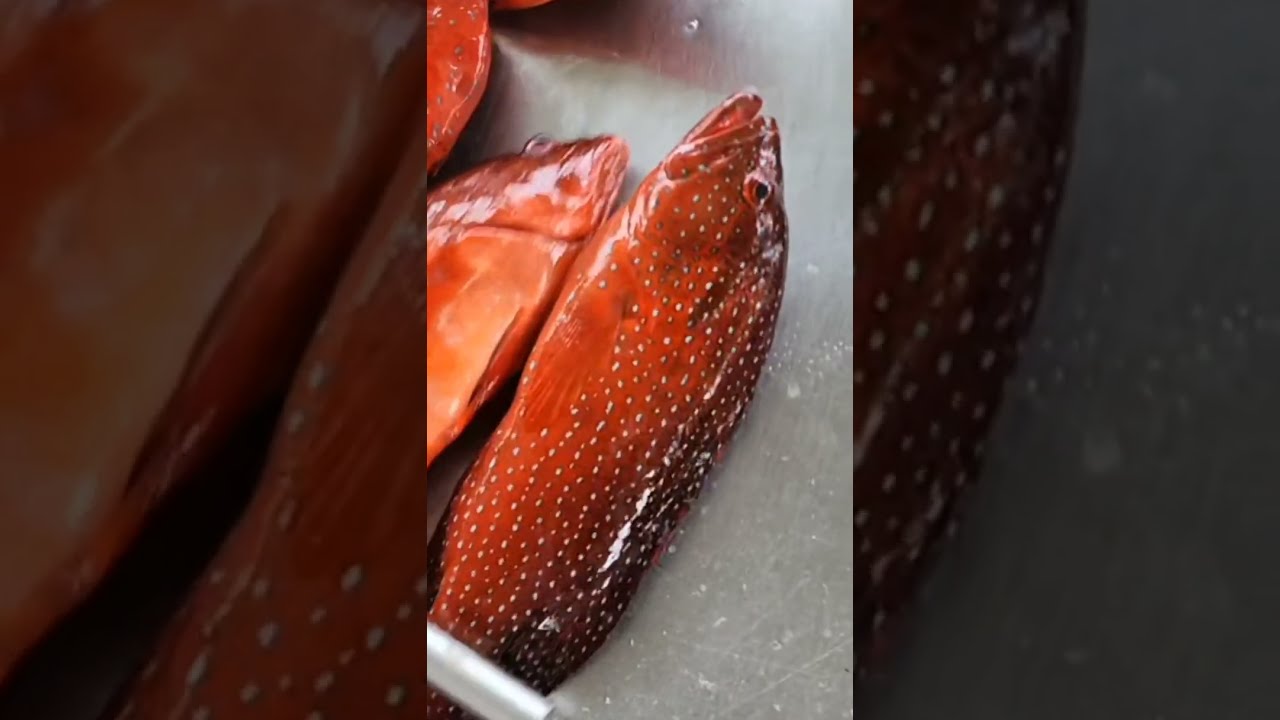 هل سعر كيلو الأسماك في المطاعم مبالغ فيها مقارنة بالحراج؟