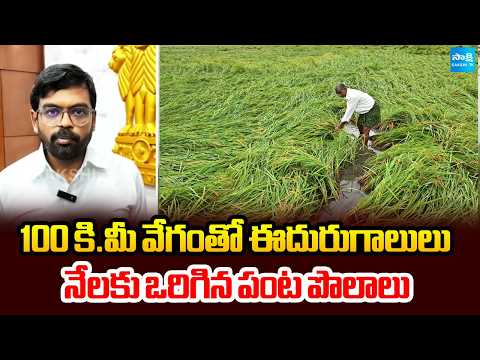 నేలకు ఒరిగిన పంట పొలాలు | Cyclone Arnab Effect In Avanigadda | Weather Updates | Sakshi TV - SAKSHITV