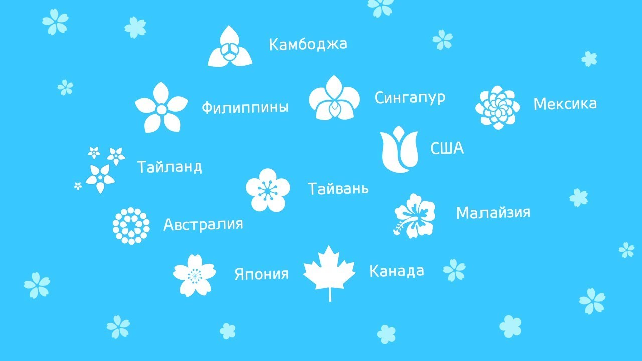 Презентация атоми компания