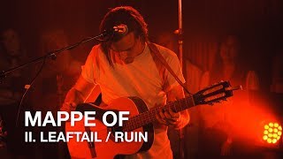 Mappe Of II Leaftail Ruin First Play Live