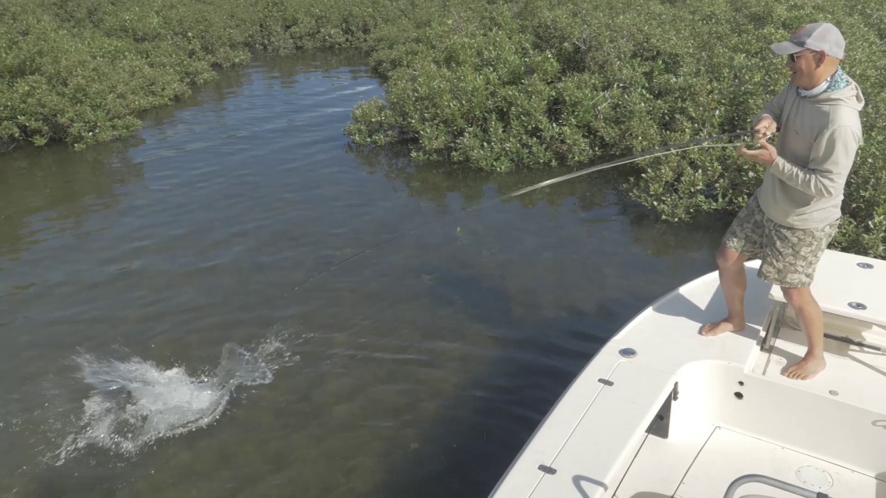 Shallow Water Sight Fly Fishing for Snapper - youtube