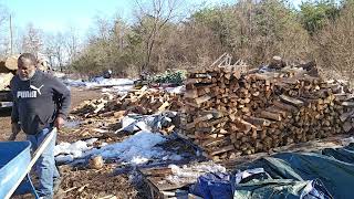 Stacking Split Oak! #firewoodgathering