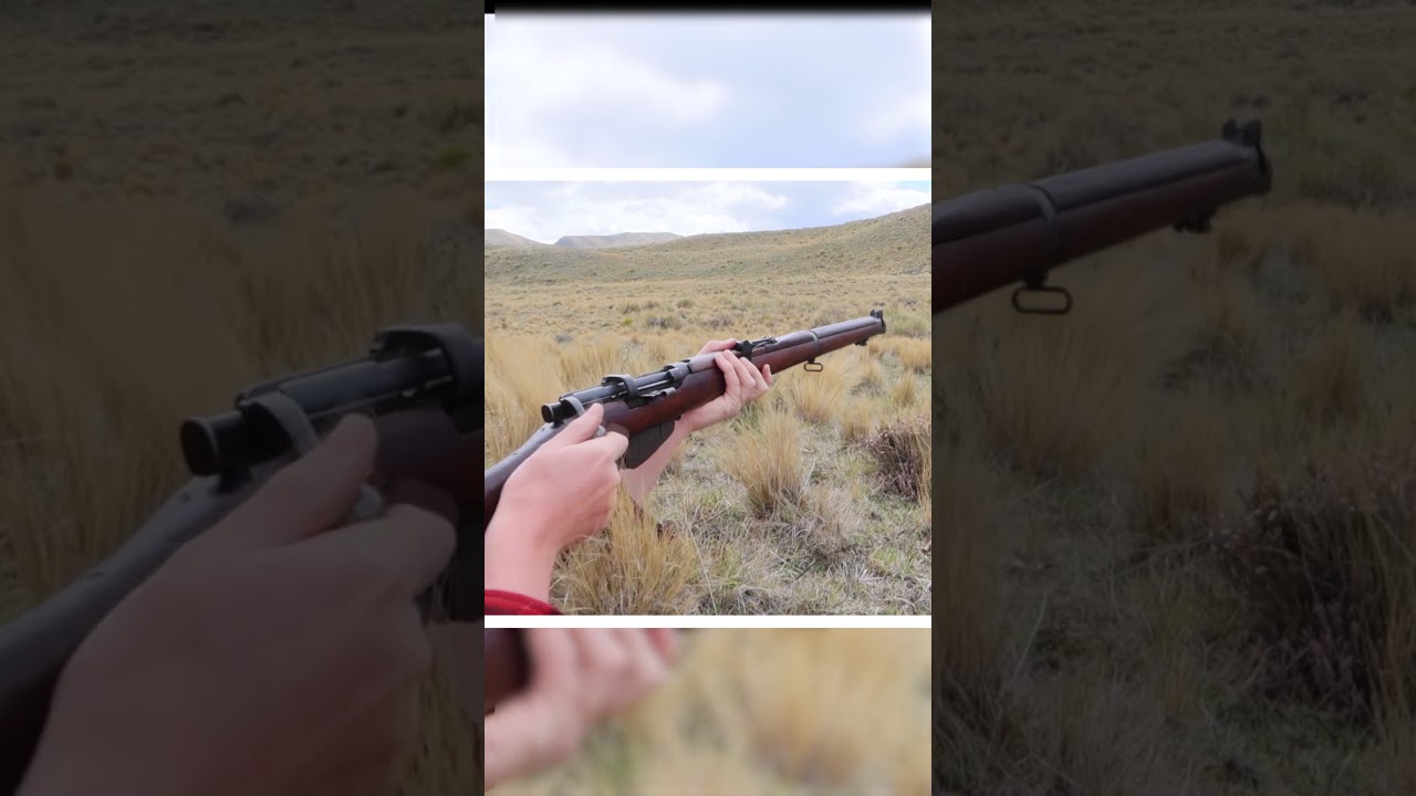 Why I like wooden stocks, and foregrips 