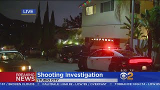 Shots Ring Out At Studio City Home Rented Out For Airbnb