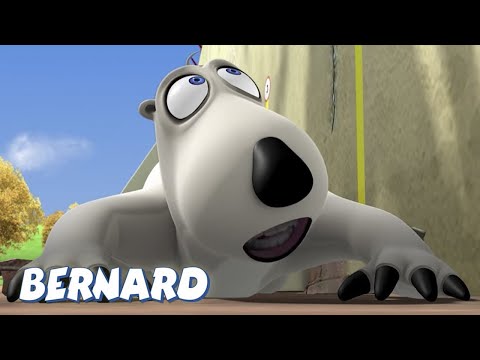 🐻‍❄️ Bernard vs. Fronton: Dodging the Ball! | Full Episodes | VIDEOS and CARTOONS FOR KIDS
