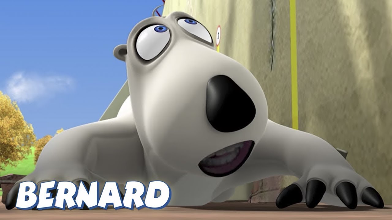 🐻‍❄️ Bernard vs. Fronton: Dodging the Ball! | Full Episodes | VIDEOS and CARTOONS FOR KIDS