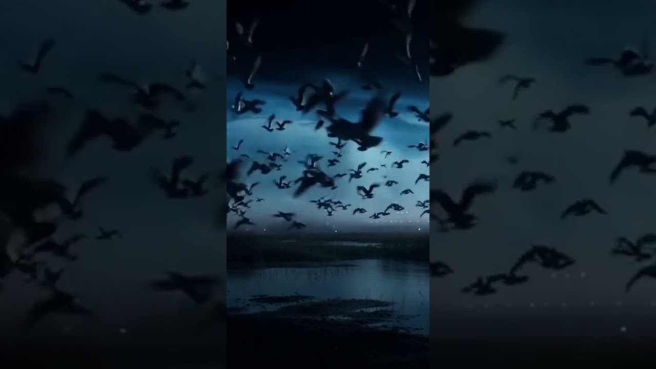 What If Earth Had Two Moons? 🌑🌒 