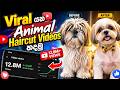 How to Make This VIRAL AI Animal Haircut Videos (In Sinhala)