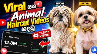 How to Make This VIRAL AI Animal Haircut Videos (In Sinhala)