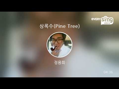 [everysing] 상록수(Pine Tree)