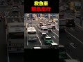 道を譲るのが世界一うまい国 #shorts