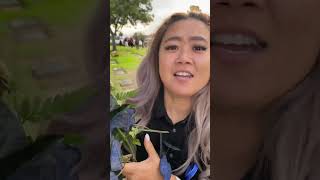 Taking Flowers At A Funeral