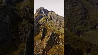 Evolutionary processes in the Carboniferous #history #documentary #earth screenshot 4