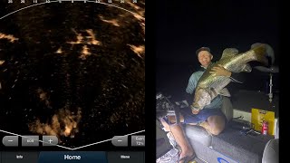 Garmin BARRA Livescope Compilation with 114cm barra eat