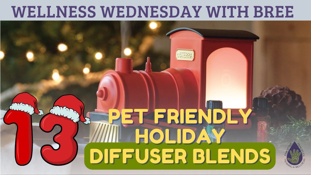 13 Pet Friendly Essential Oil Diffuser Blends