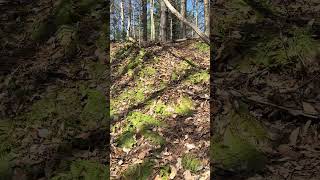 Patience and Love…#nature #spring