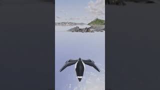 Making a crazy bird game part1 #gamedev  #indie  #birds screenshot 1