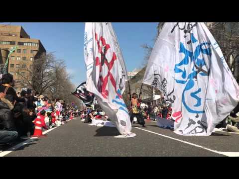 横浜旗士道 in KANAGAWAよさこい2016(2日目)
