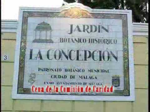 Real y Muy Ilustre Hermandad de la Sagrada Cena Sacramental y María Santísima de la Paz