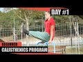 Beginner calisthenics program  day 1