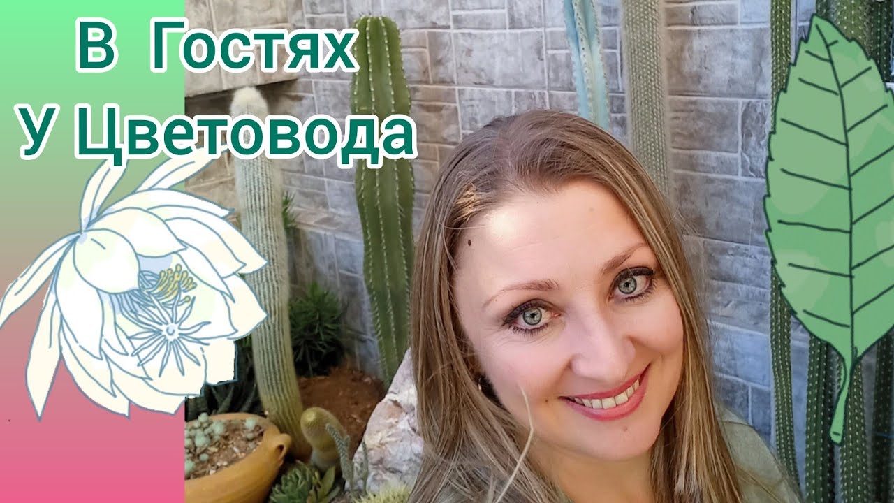 В гостях у Цветовода🌵Татьяны