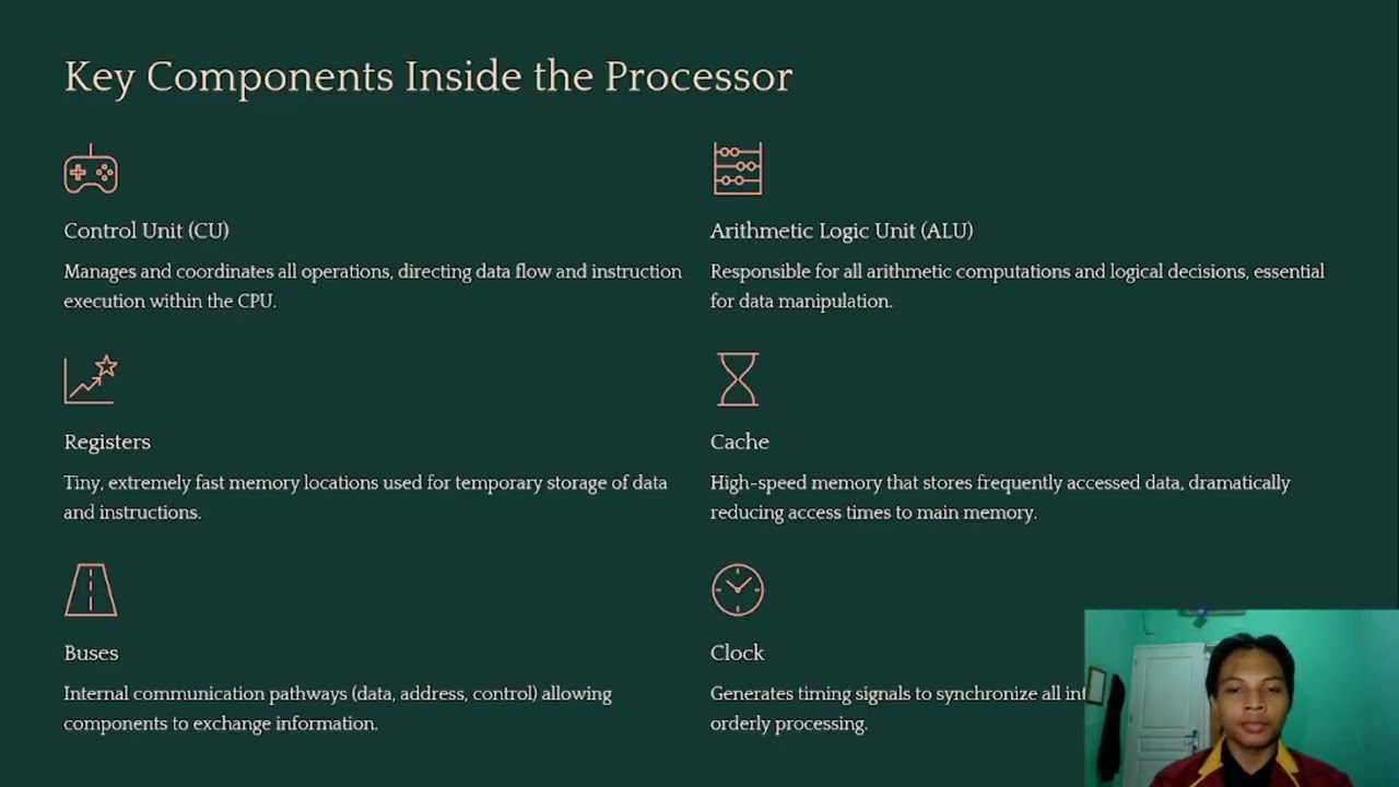 Processor Function and Structure
