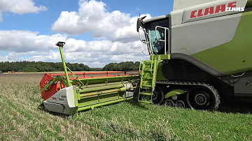 Kolik HP má Lexion 750?