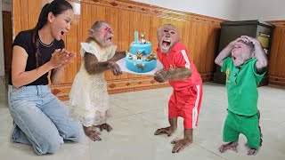 Monkey Su excited touched when Kuku & Mimi secretly surprise birthday party