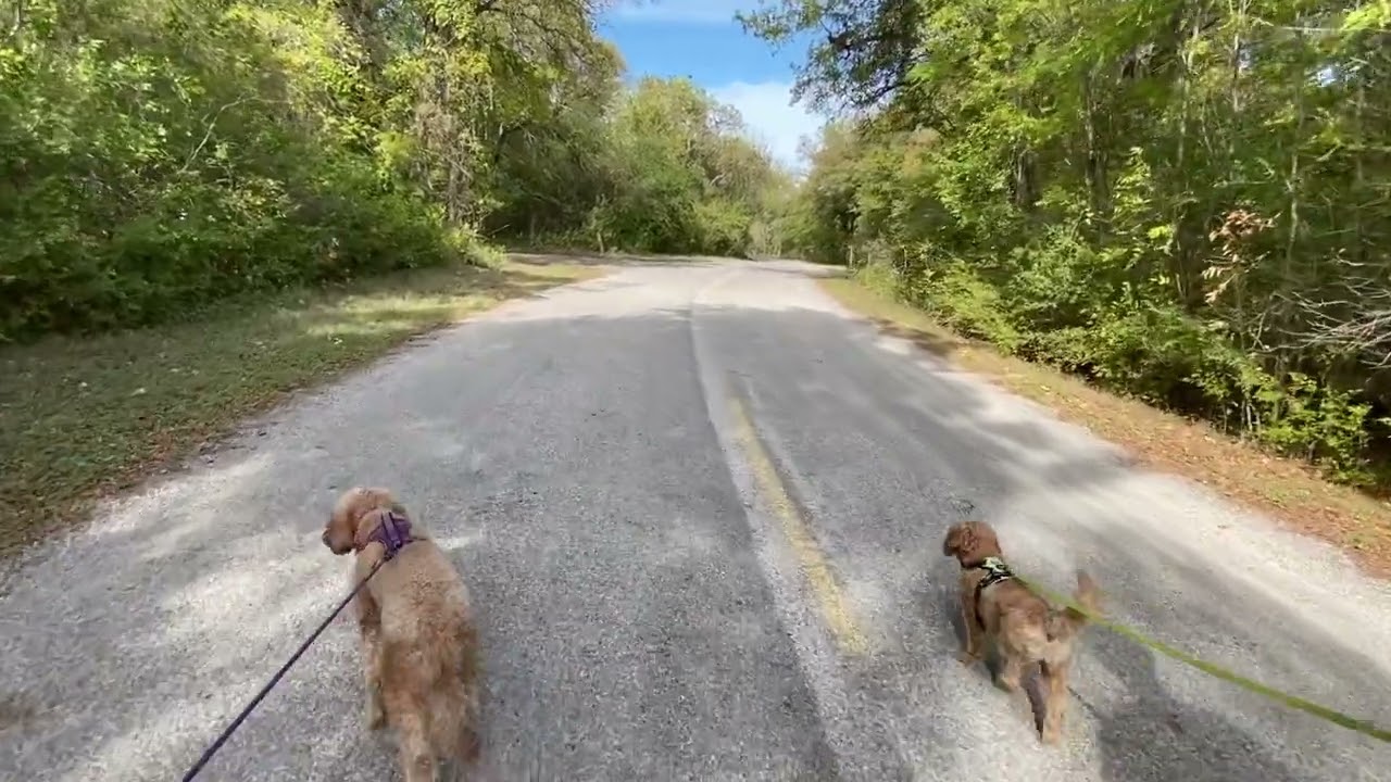 Texas Travel - Did We Choose The Right Place?